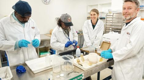 Emerging Curators working with WA Museum's Aquatic Zoology team